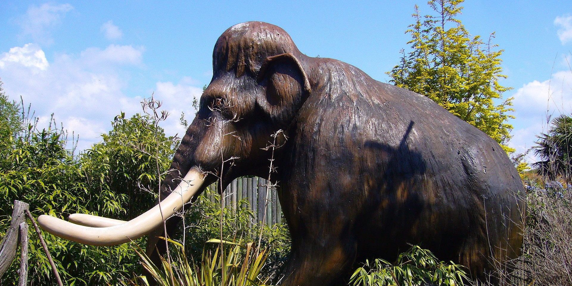 Edifact: l'ancêtre de la facture électronique