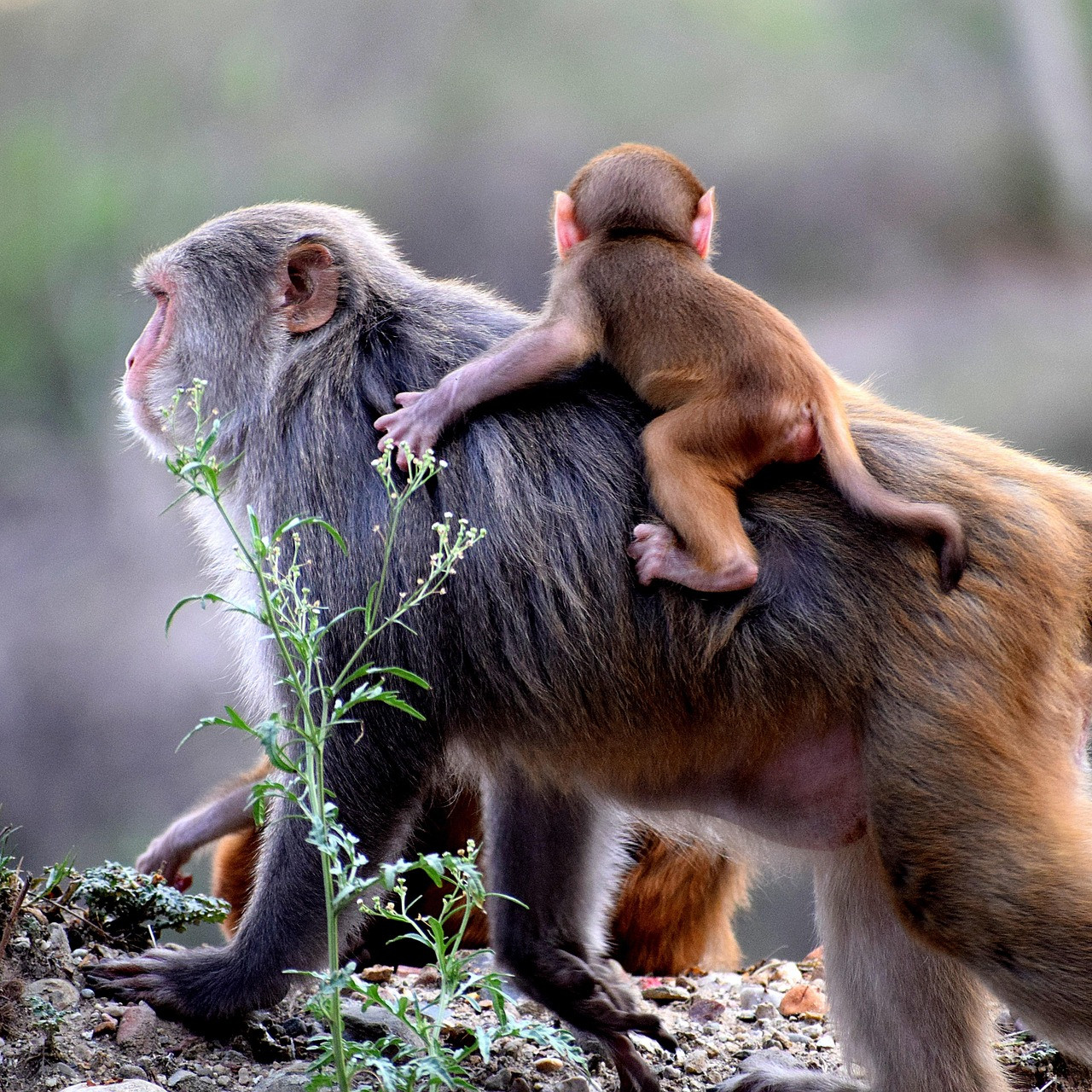 Voici comment est né Invexio pour la facture électronique