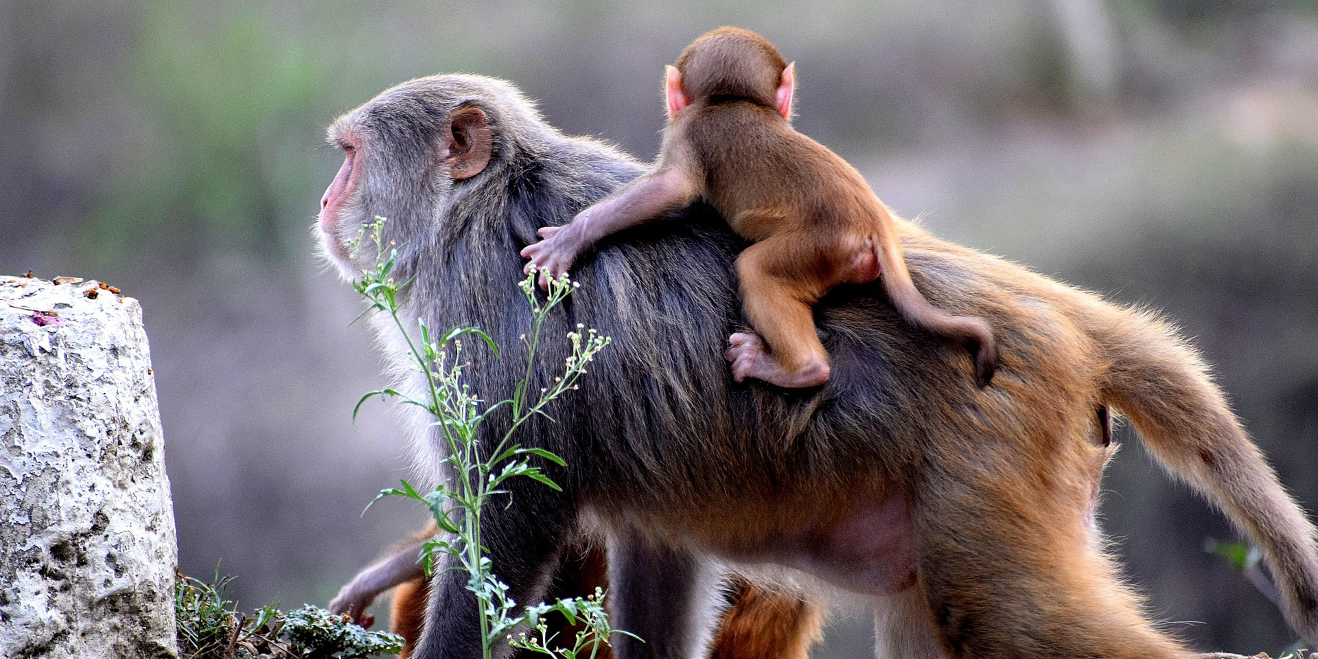 Voici comment est né Invexio pour la facture électronique
